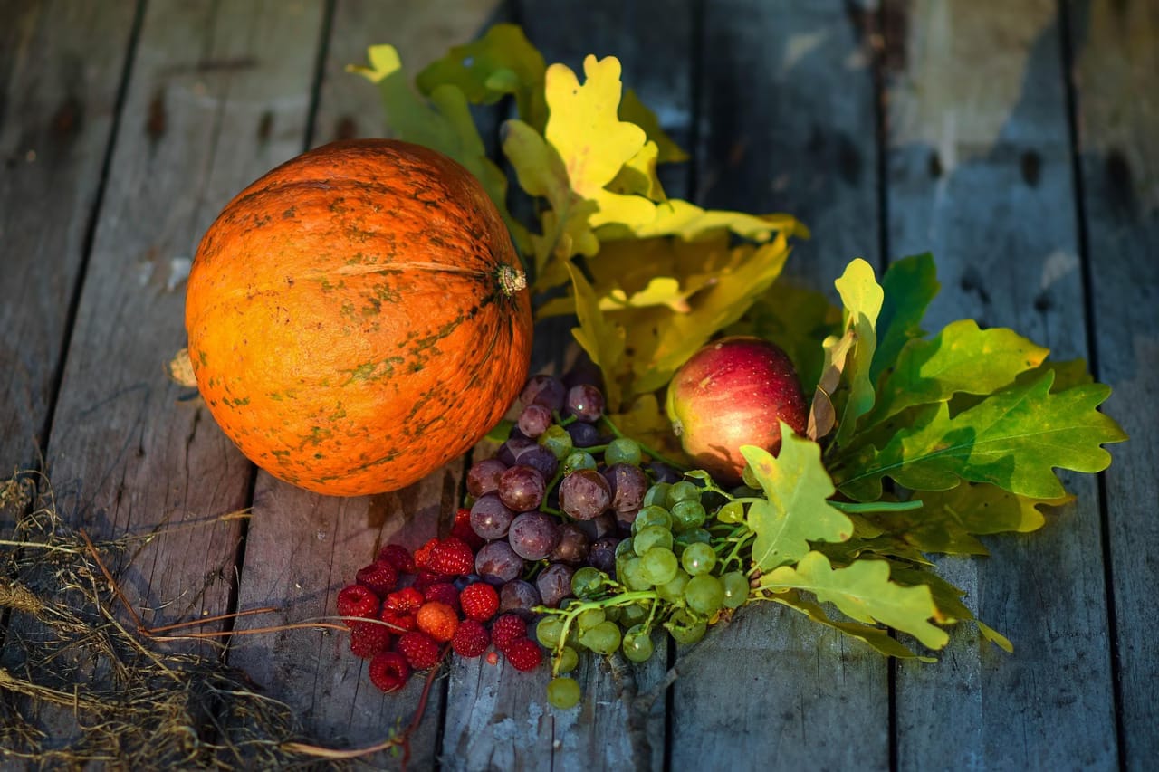 still life, fruit, natural, nature, autumn, harvest, berries, leaves, composition, saturated